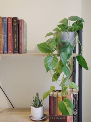 jeanyn-santiano-o4JddHw5jC4-unsplash